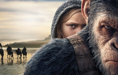 电视剧《梦想照进现实》海报